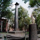 View image